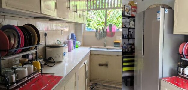 Christine's Kitchen- Home-Cooked by Amma